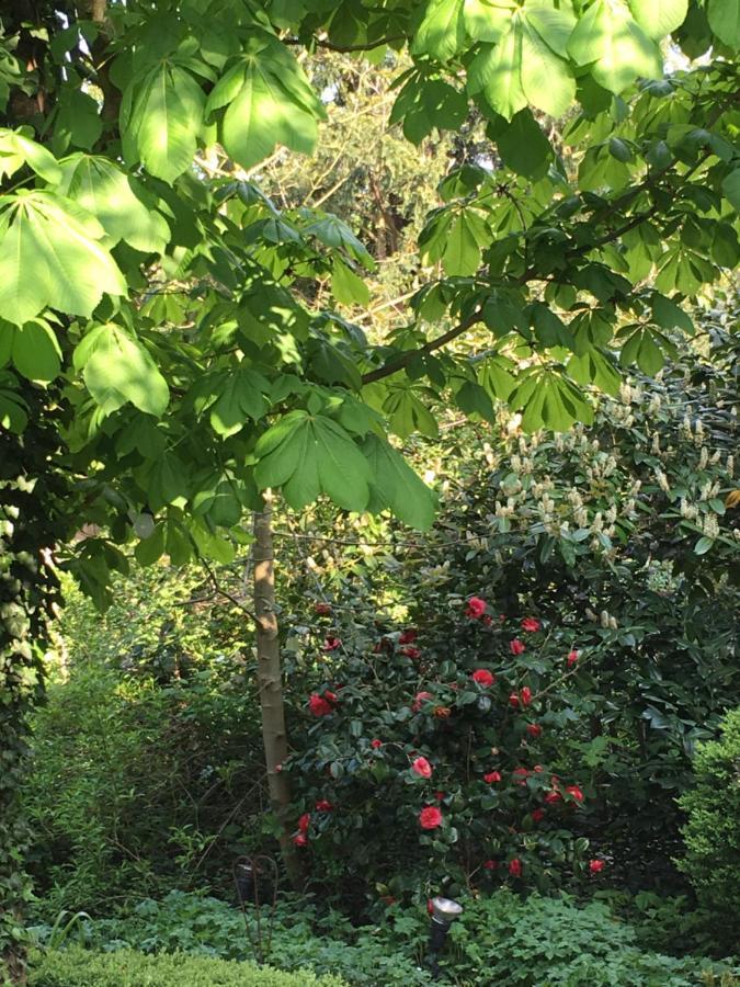 Saarlouis Innenstadt Im Gruenen Buitenkant foto