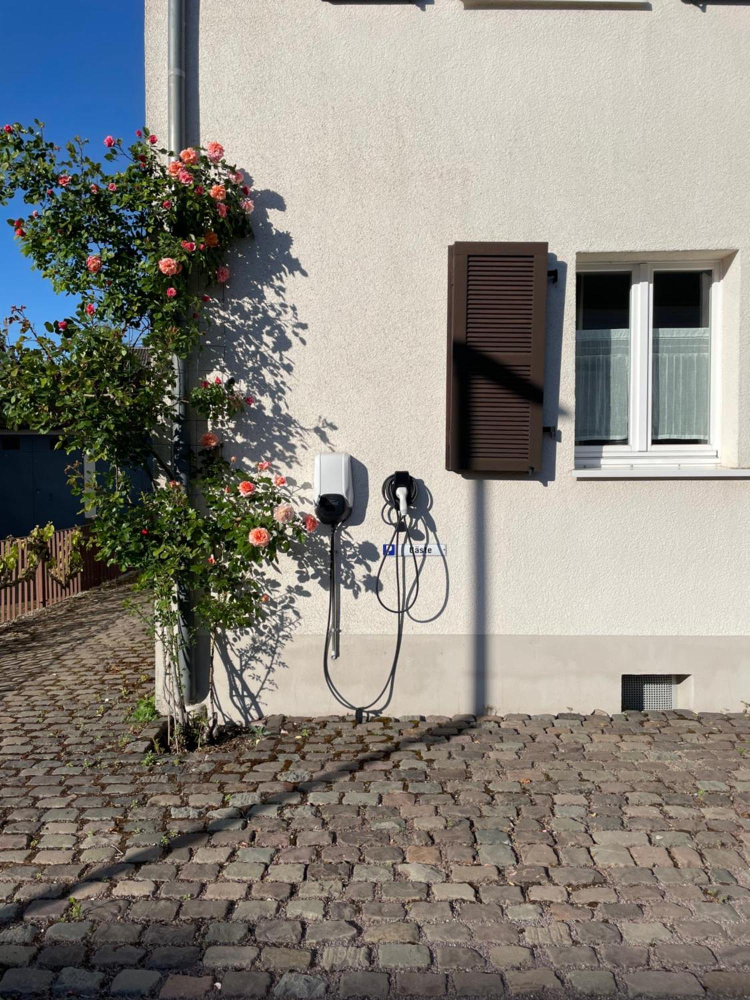 Saarlouis Innenstadt Im Gruenen Buitenkant foto